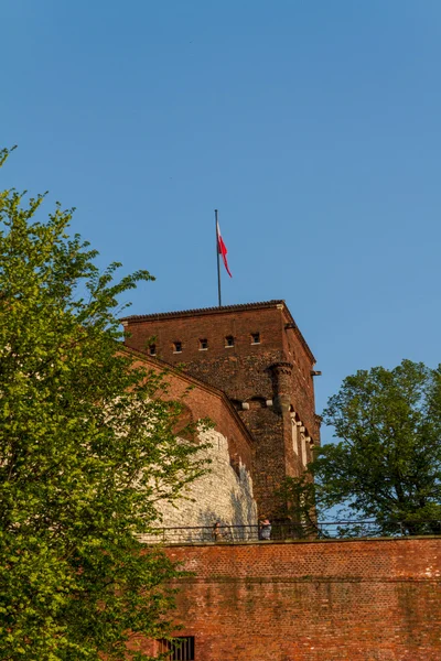 Kungliga slottet på wawel, krarow — Stockfoto