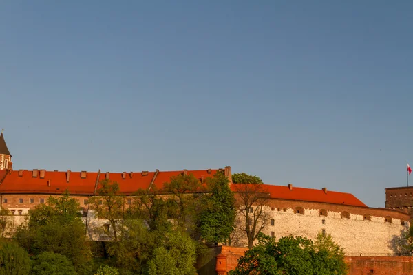 Castillo real en Wawel, Krarow —  Fotos de Stock