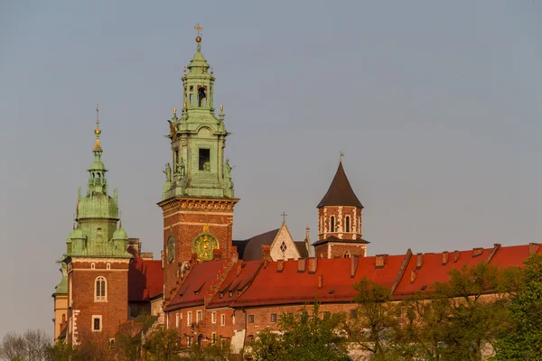 Wawel, Krarow에에서 로얄 캐슬 — 스톡 사진