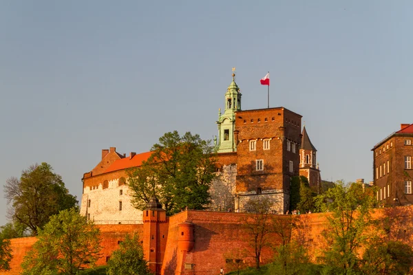 Королівський замок Вавель, Krarow — стокове фото