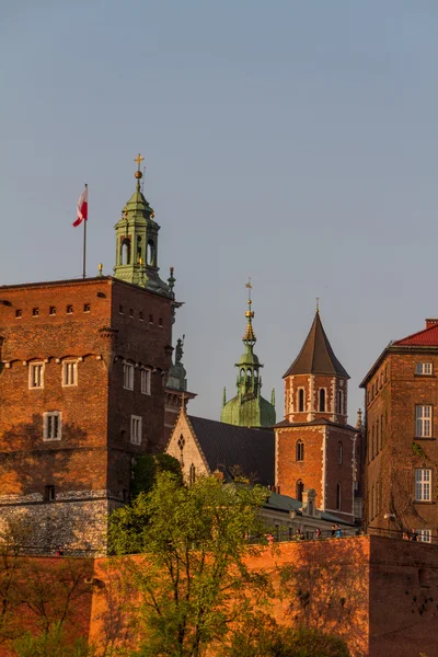 Castelo real em Wawel, Krarow — Fotografia de Stock
