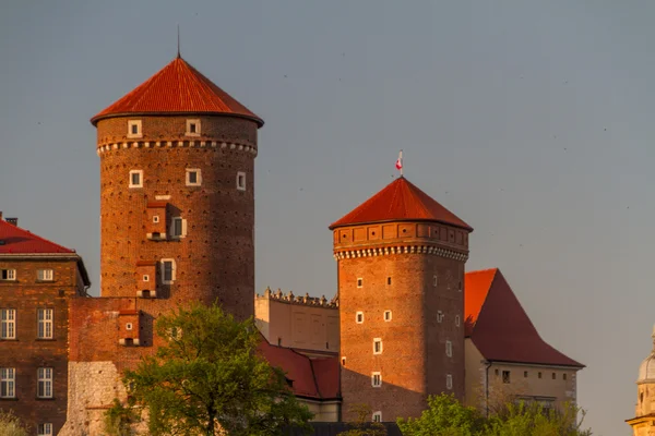 Royal castle in Wawel, Krarow — Stock Photo, Image
