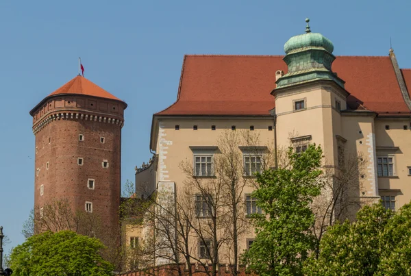 Königsschloss auf dem Wawel, Krakau — Stockfoto