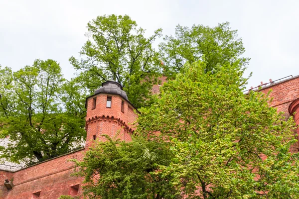 Castillo real en Wawel, Cracovia — Foto de Stock