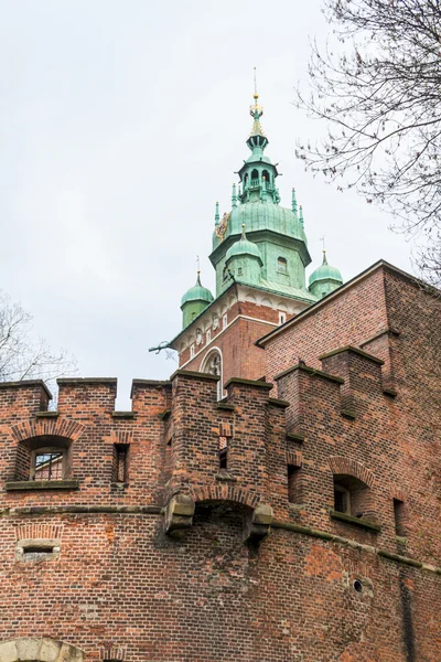 Kongeligt slot i Wawel, Krakow - Stock-foto