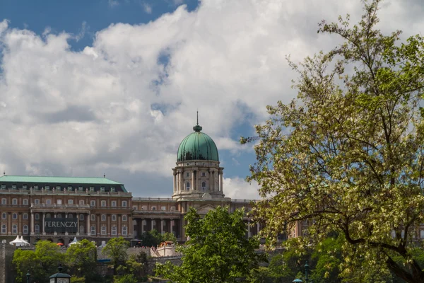 Palais royal historique à Budapest — Photo