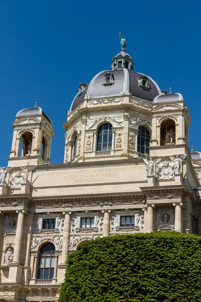 Doğal Tarih Müzesi, Viyana — Stok fotoğraf