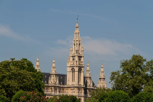 stock image Vienna's City Hall - Town Hall