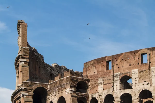 Het Colosseum in Rome, Italië — Stockfoto