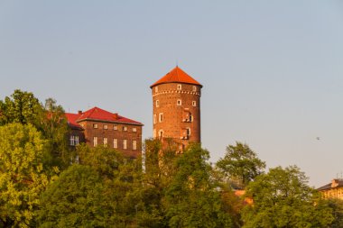 wawel, krarow yılında Royal castle