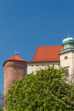 wawel, krakow, Royal castle