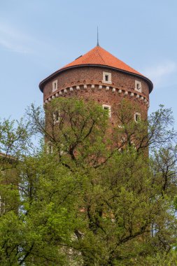 wawel, krakow, Royal castle