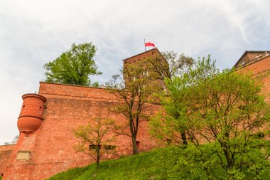 wawel, krakow, Royal castle