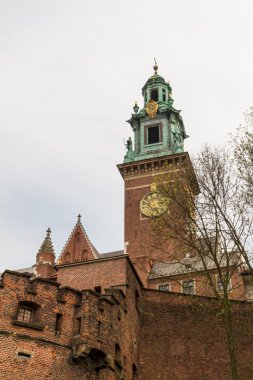 wawel, krakow, Royal castle