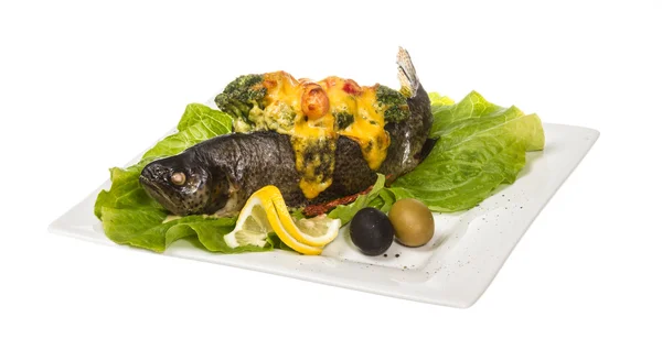 鳟鱼鱼烤虾与花椰菜 — 图库照片