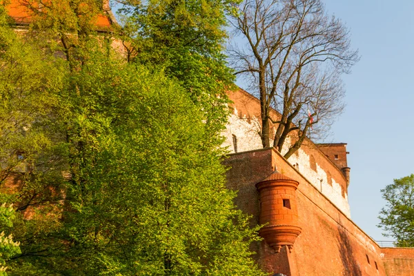Wawel, krarow yılında Royal castle — Stok fotoğraf