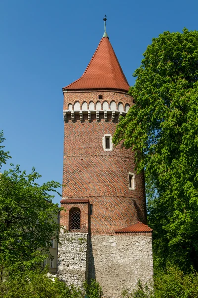 Castello Reale di Wawel, Cracovia — Foto Stock