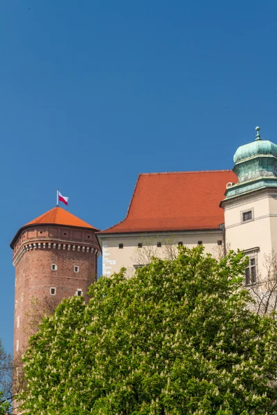 Royal castle in Wawel, Krakow — Stock Photo, Image