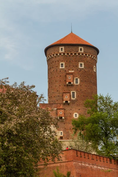 wawel, krakow, Royal castle