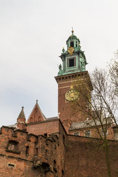 Kongeligt slot i Wawel, Krakow - Stock-foto