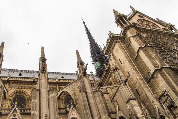 Notre Dame (Paris) — Stock Photo, Image