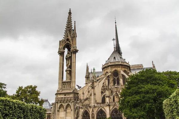 Notre Dame (Paris) — Stok fotoğraf