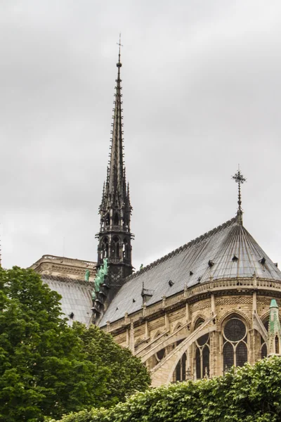 Notre Dame (Paris) — Stok fotoğraf