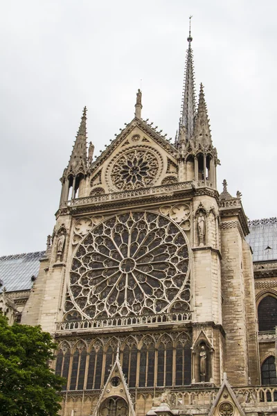 Notre Dame (París) ) —  Fotos de Stock