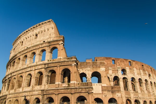 Colosseum in Rome, Italy Royalty Free Stock Images