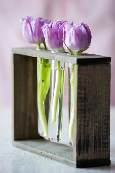 stock image Three purple tulips in a small glass