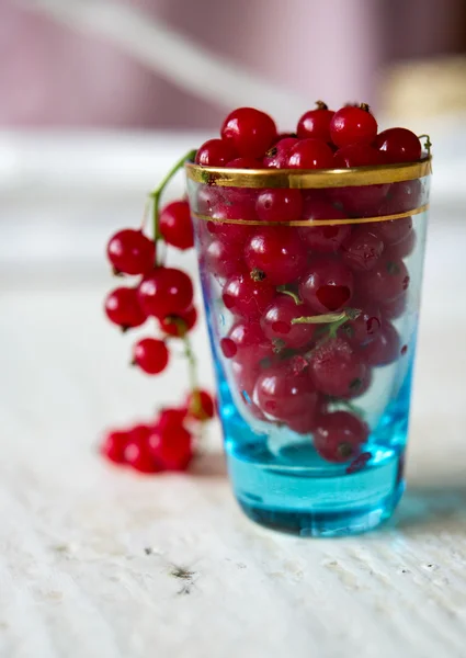 stock image Glass full of Cranberries