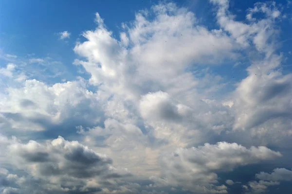Облачное небо с летающими птицами — стоковое фото
