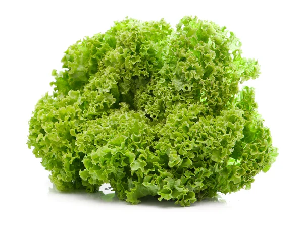 Frunze verzi salată verde — Fotografie, imagine de stoc