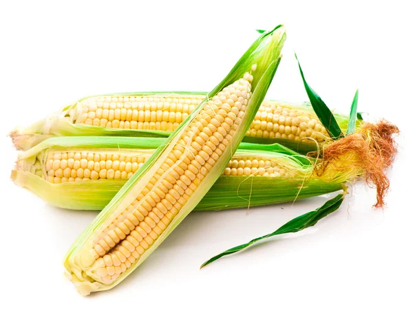 stock image Fresh corn vegetable