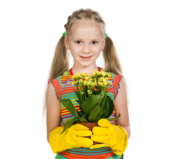 Маленькая девочка держит растение — стоковое фото
