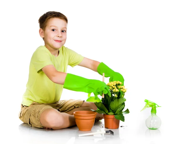 可爱的男孩移植植物 — 图库照片