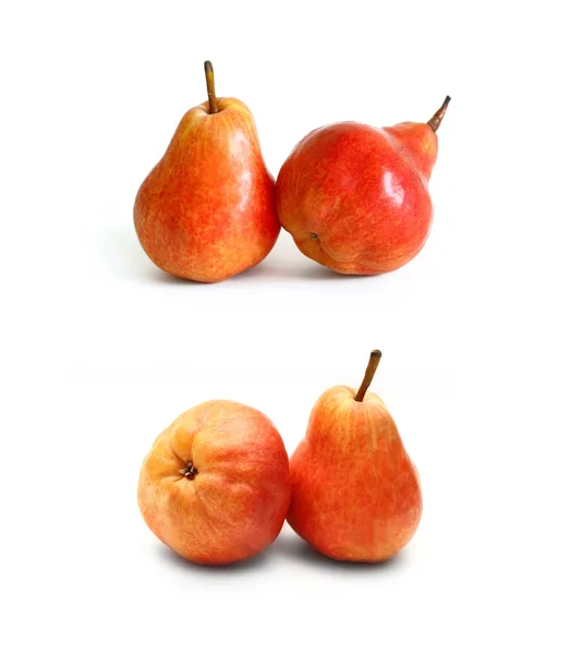 Red pears on white — Stock Photo, Image