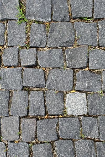 Paving stone — Stock Photo, Image