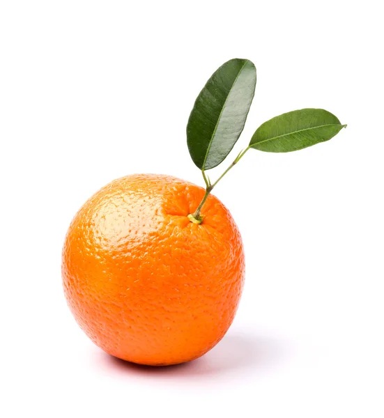 Laranja — Fotografia de Stock