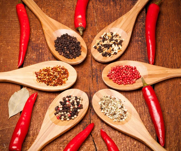 Different spices — Stock Photo, Image