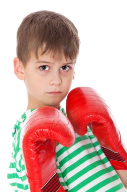 kızgın çocuk boksör