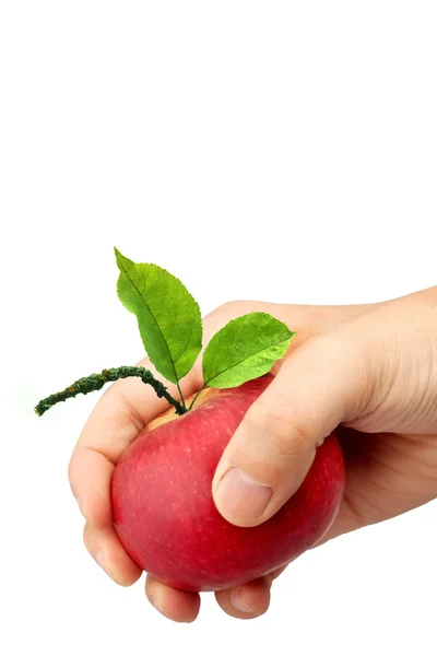 Elde bir elma — Stok fotoğraf
