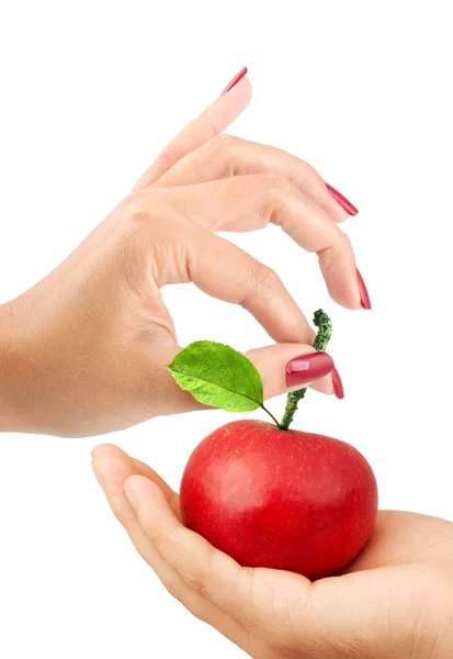 Dívka dává muži jablko — Stock fotografie