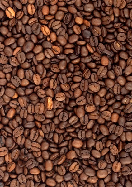 Fond de grain de café — Photo