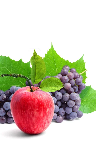 Kleurrijke gezond vers fruit. — Stockfoto