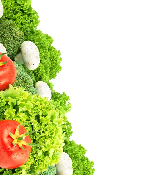 Ассорти свежих овощей — стоковое фото