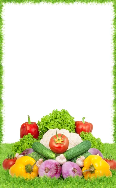 Ассорти свежих овощей — стоковое фото