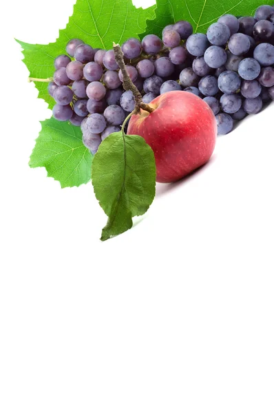 Цветные свежие фрукты — стоковое фото