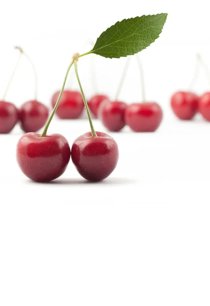 红樱桃 — 图库照片
