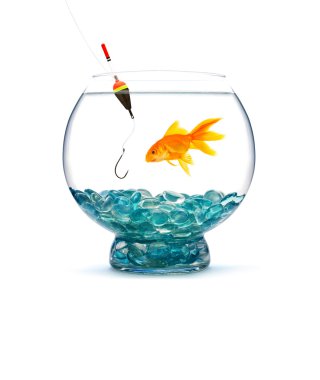 Goldfish clipart